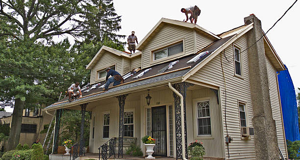 Best Flat Roof Repair Services  in Sheridan, WY